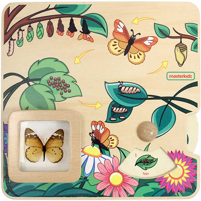 Butterfly Life Cycle Learning Board