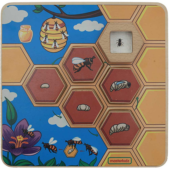 Bee Life Cycle Learning Board